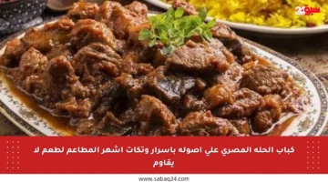 كباب الحلة المصري على أصوله بأسرار وتكات أشهر المطاعم لطعم لا يقاوم